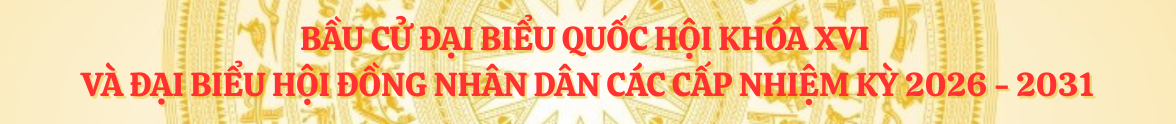 bau-cu-dai-bieu