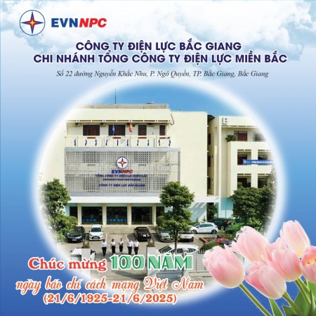Công ty Điện lực Bắc Giang