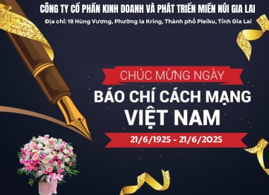 Công ty Cổ phần Kinh doanh và Phát triển Miền núi Gia Lai