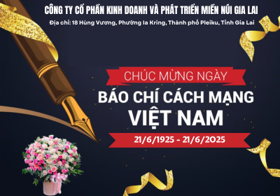 Công ty Cổ phần Kinh doanh và Phát triển Miền núi Gia Lai