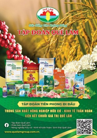 Tập đoàn Quế Lâm