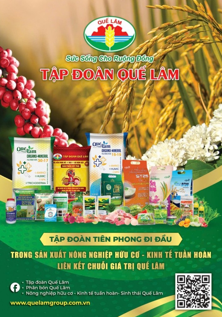 Tập đoàn Quế Lâm
