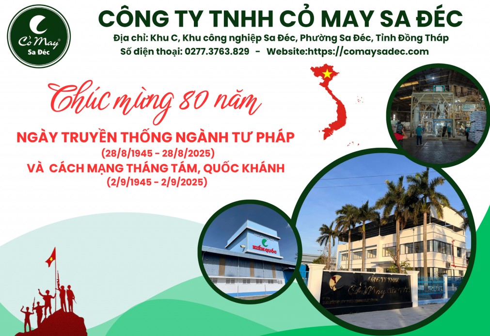 Công ty TNHH Cỏ May Sa Đéc - Hành trình từ tâm huyết đến thương hiệu dẫn đầu