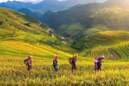 Đẩy mạnh xã hội hóa trong công tác trợ giúp pháp lý phù hợp với đặc thù từng vùng, miền, khu vực