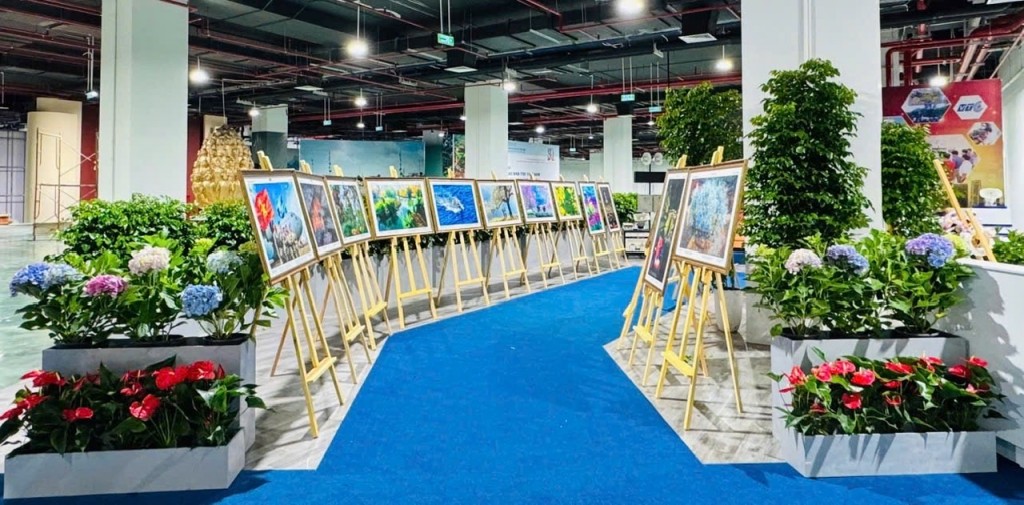 Triển lãm ảnh và video 