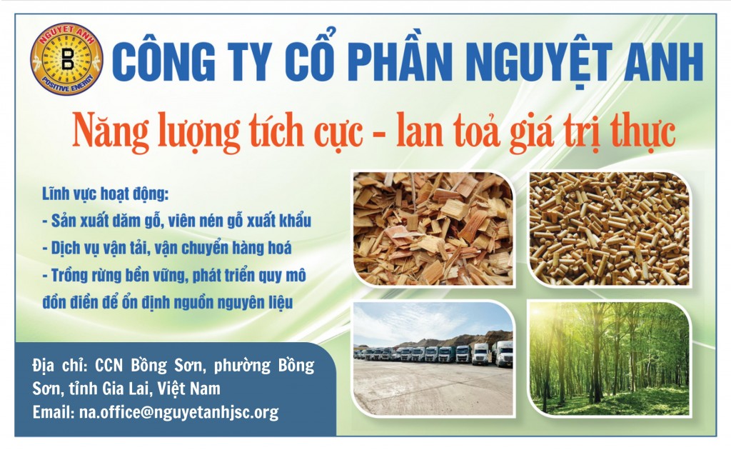 Công ty cổ phần Nguyệt Anh