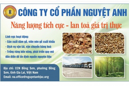 Công ty cổ phần Nguyệt Anh