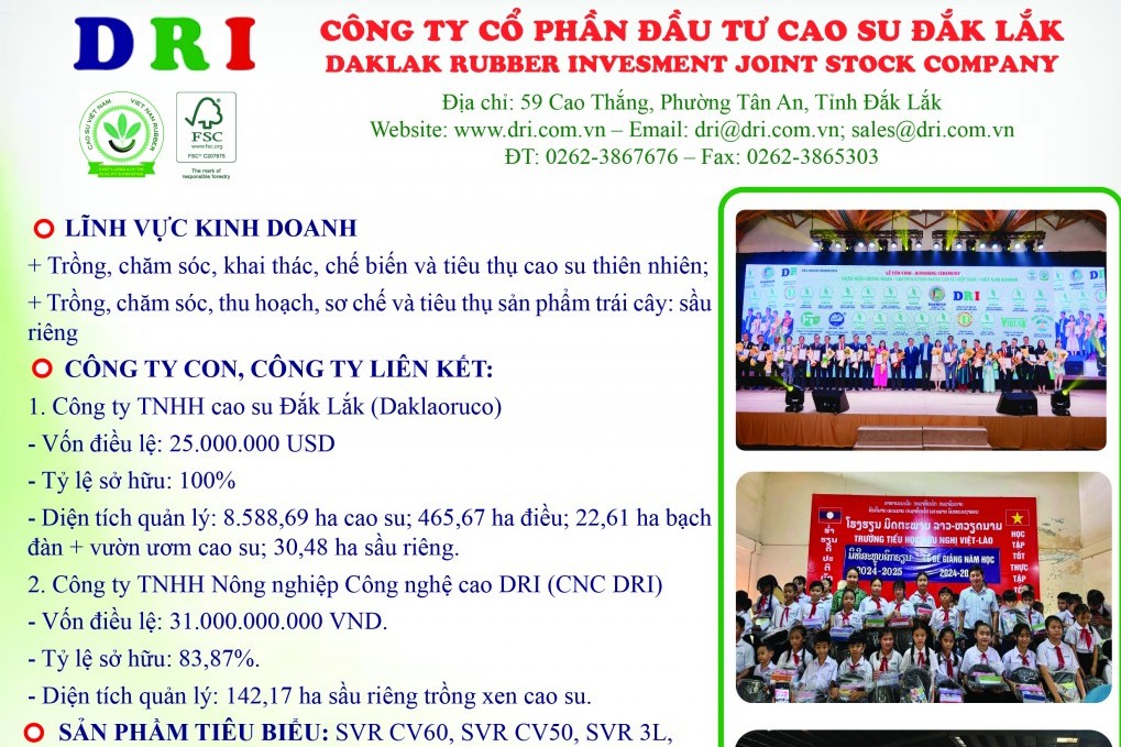 Công ty cổ phần Đầu tư Cao su Đắk Lắk