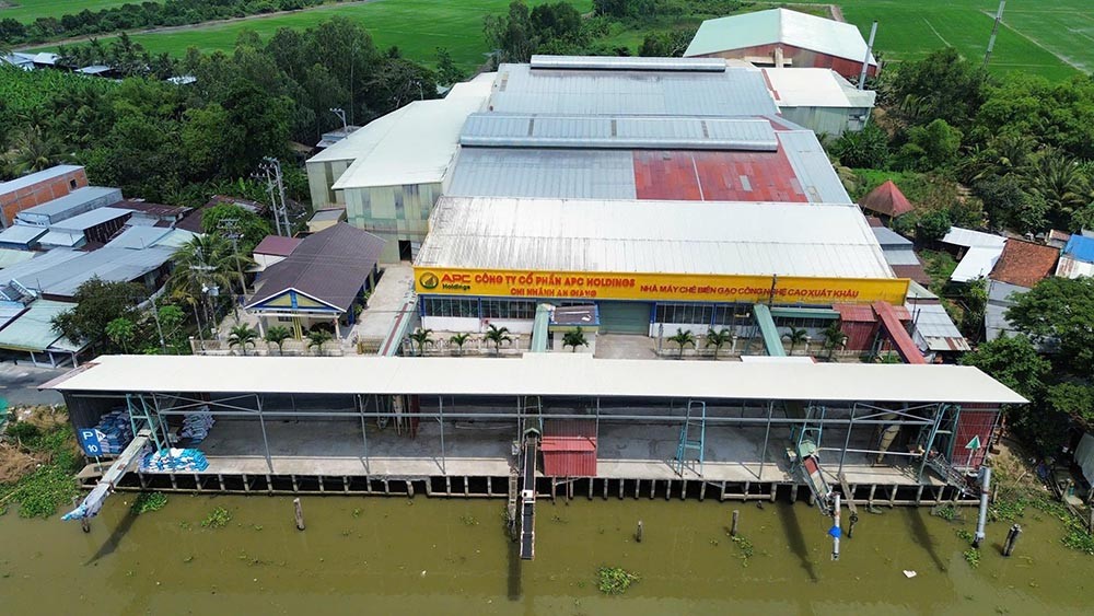 APC Holdings – Kiến tạo nền tảng vững chắc cho hương vị gạo Việt vươn tầm thế giới
