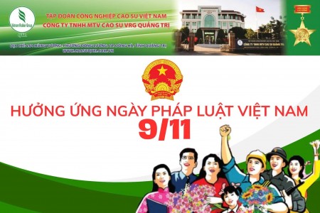 Công ty TNHH MTV Cao su VRG Quảng trị