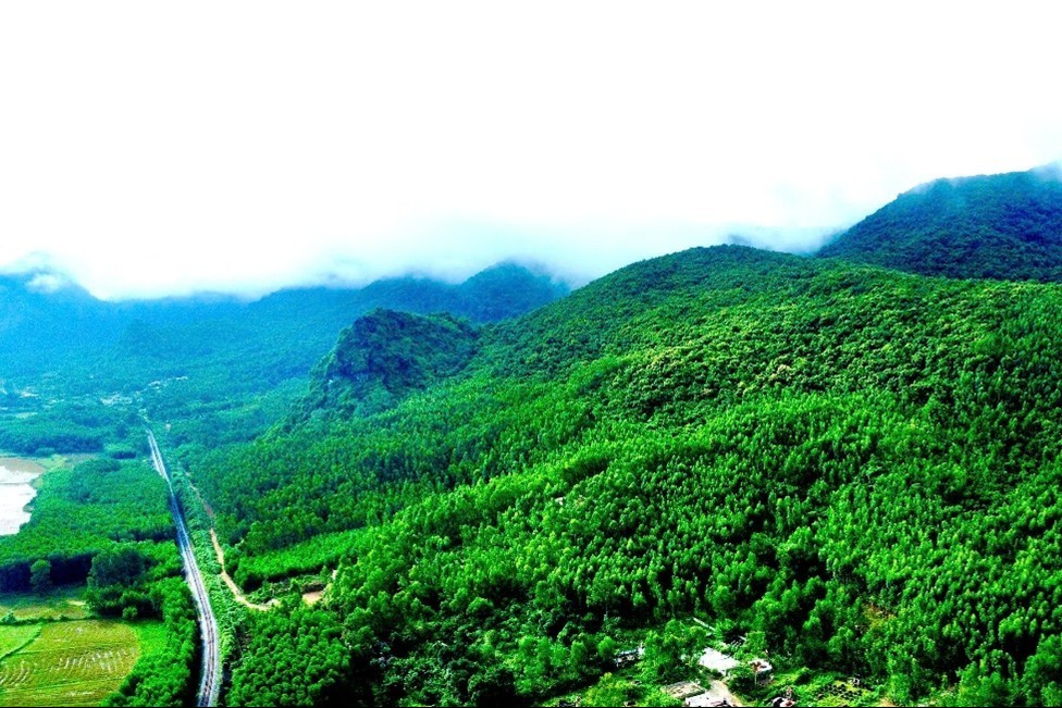 Quỹ Bảo vệ và Phát triển rừng tỉnh Quảng Trị nỗ lực vì màu xanh bền vững của đại ngàn