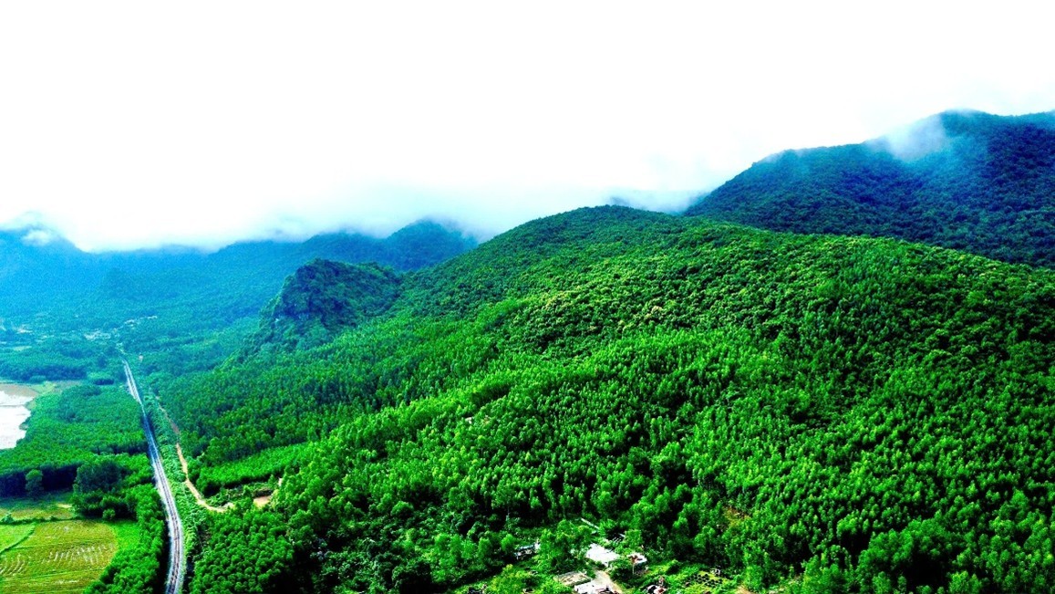 Quỹ Bảo vệ và Phát triển rừng tỉnh Quảng Trị nỗ lực vì màu xanh bền vững của đại ngàn