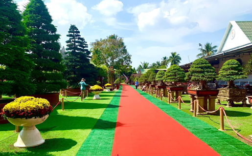 Bảo tàng Bonsai Sa Đéc – Dấu ấn tiên phong của nghệ nhân Nguyễn Phước Lộc trong lĩnh vực cây kiểng Việt Nam