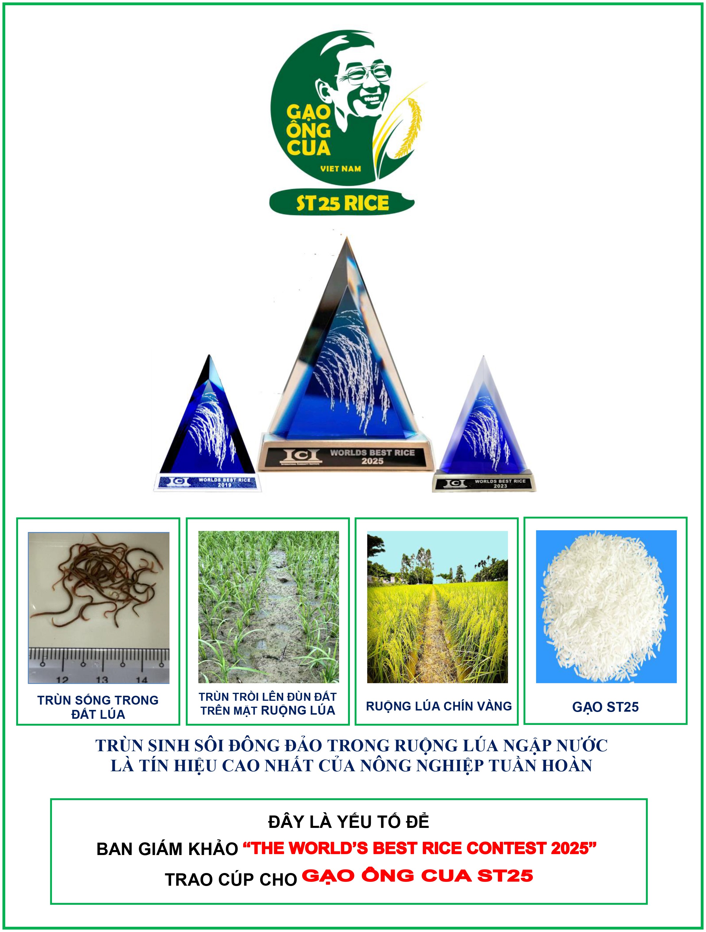 Nông nghiệp tuần hoàn Nông nghiệp tuần hoàn