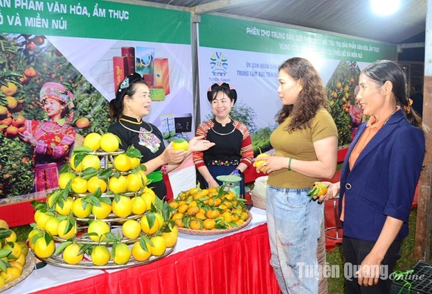 Từ những vùng đất khó đến không gian sinh thái sản xuất: Vai trò điều phối của ngành Nông nghiệp và Môi trường Tuyên Quang