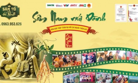 Sâm Núi Dành: Linh khí đất thiêng, quà Tết sức khỏe từ di sản dược liệu Việt