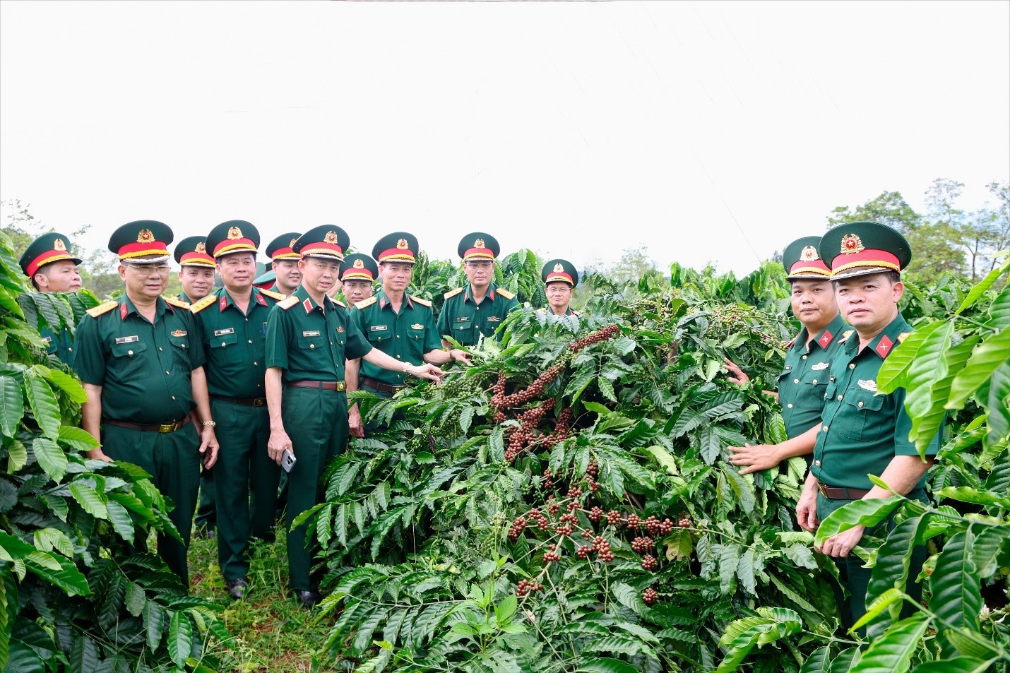 Dấu ấn Binh đoàn 16 trong thực hiện nhiệm vụ kinh tế - quốc phòng