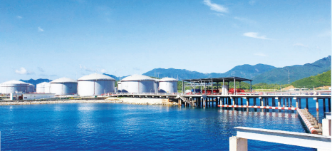 Công ty Cổ phần Tập đoàn Xây lắp 1 - Petrolimex