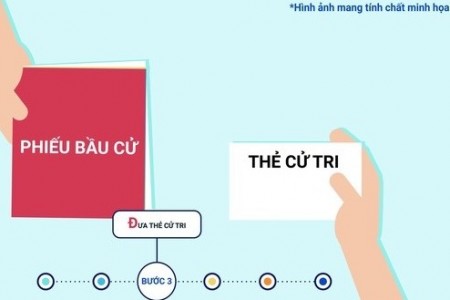 Những quy định cần biết về phiếu bầu cử và trình tự bỏ phiếu