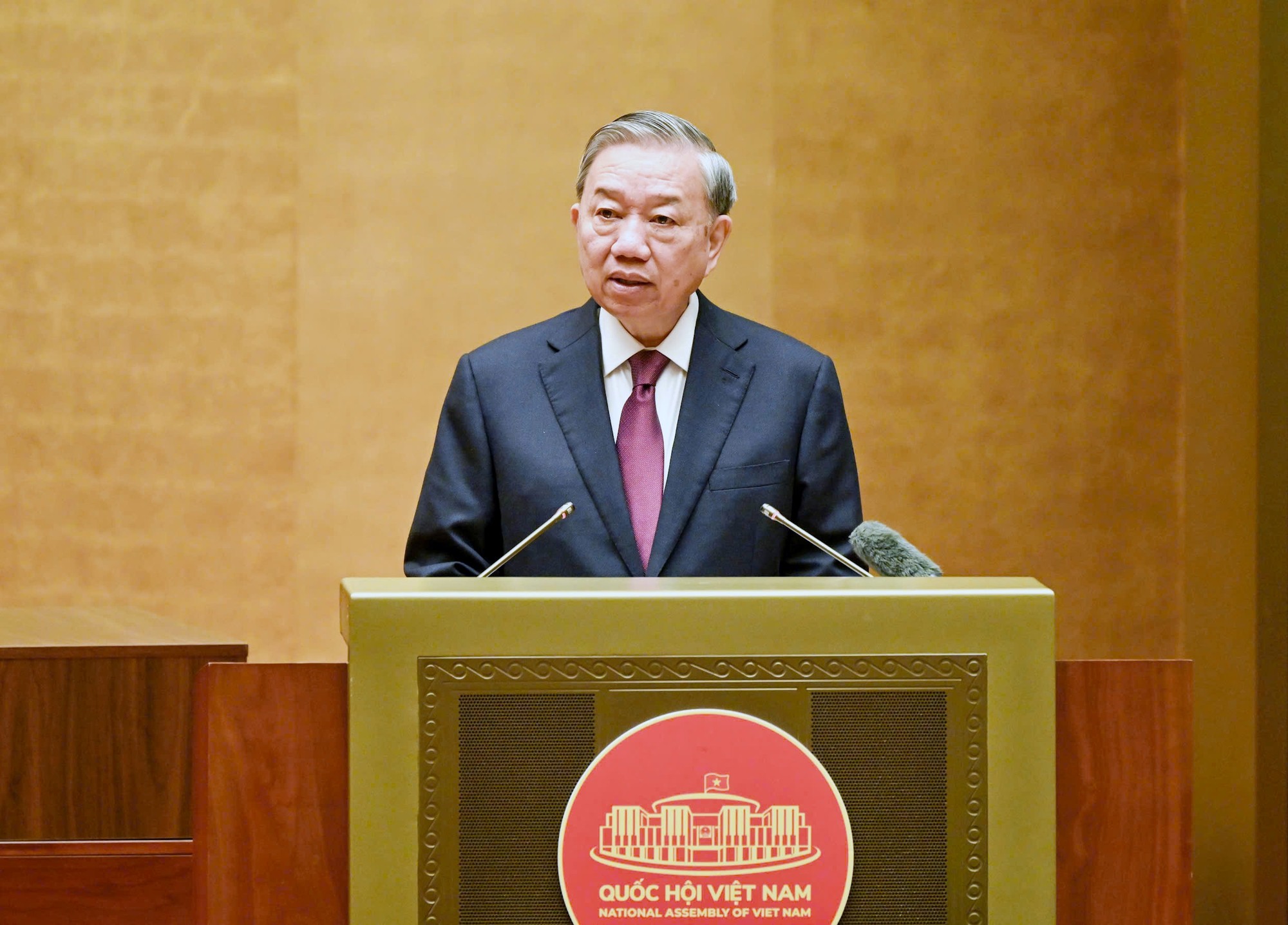 Tổng Bí thư, Chủ tịch nước Tô Lâm: 