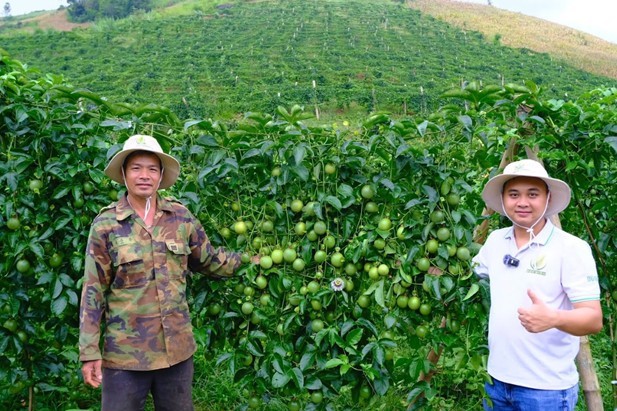 Công ty TNHH MTV Nông nghiệp Sesan Gia Lai: Bứt phá từ chuỗi giá trị nông nghiệp hiện đại