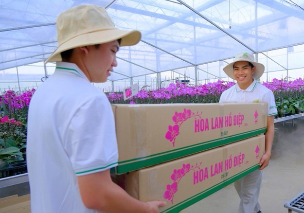 Công ty TNHH MTV Nông nghiệp Sesan Gia Lai: Bứt phá từ chuỗi giá trị nông nghiệp hiện đại