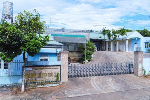 Công ty TNHH MTV Nông nghiệp Sesan Gia Lai: Bứt phá từ chuỗi giá trị nông nghiệp hiện đại