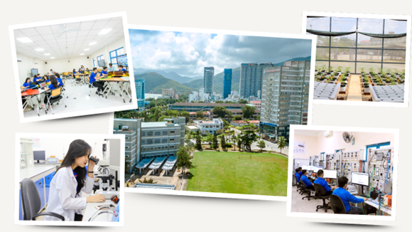 Bài toán nguồn nhân lực trong giai đoạn phát triển mới: Vai trò của Trường Đại học Quy Nhơn tại Gia Lai