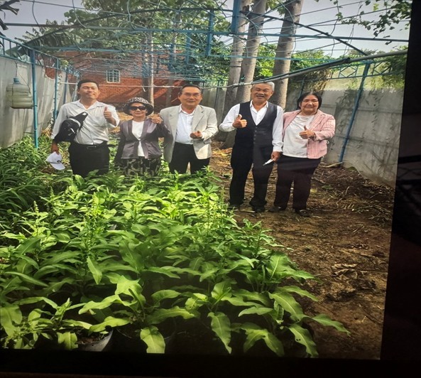 Công ty TNHH MTV Tài nguyên Môi trường Paulownia.vn Nam Á vì sự phát triển kinh tế môi trường bền vững