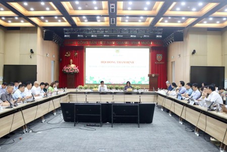 Xây dựng Bộ luật điều chỉnh bao trùm hàng hải và đường thủy nội địa