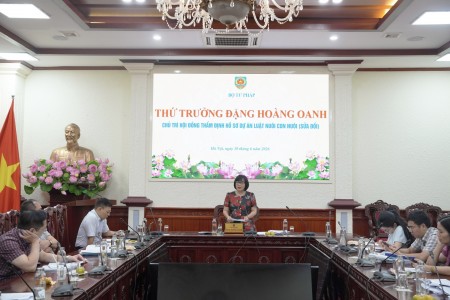 Hoàn thiện cơ chế pháp lý về nuôi con nuôi bảo đảm tốt hơn quyền và lợi ích của trẻ em