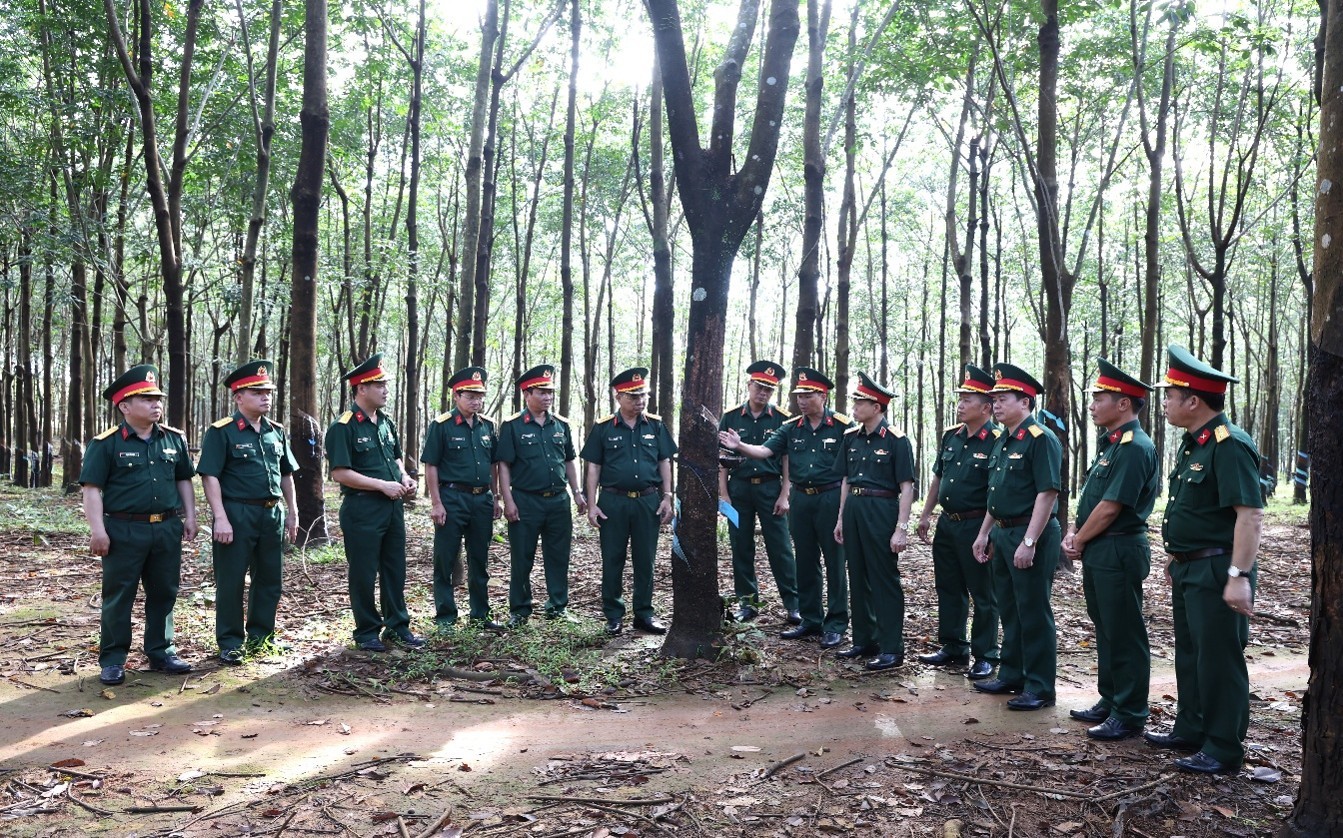 Binh đoàn 16 phát huy hiệu quả nhiệm vụ kinh tế - quốc phòng