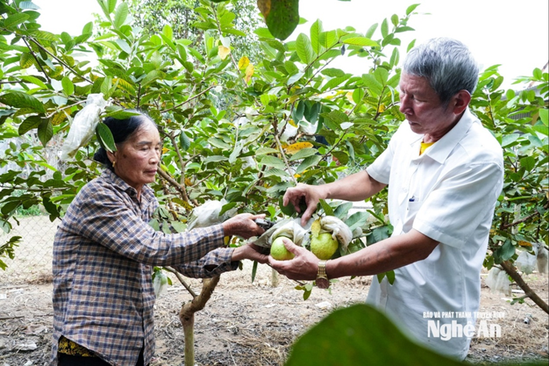 Phường Thái Hòa nâng cao hiệu lực, hiệu quả hoạt động chính quyền, tạo động lực thúc đẩy phát triển kinh tế - xã hội
