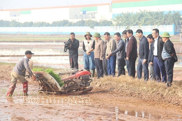 Trồng trọt và bảo vệ thực vật 6 tháng đầu năm 2026: Hưng Yên - Chuyển dịch theo hướng chất lượng, nâng cao giá trị và phát triển bền vững