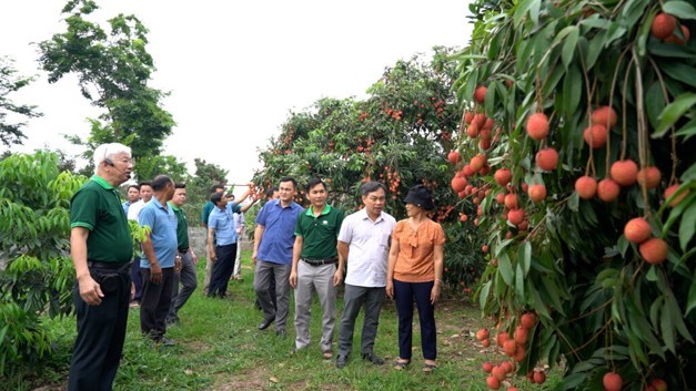 Trồng trọt và bảo vệ thực vật 6 tháng đầu năm 2026: Hưng Yên - Chuyển dịch theo hướng chất lượng, nâng cao giá trị và phát triển bền vững