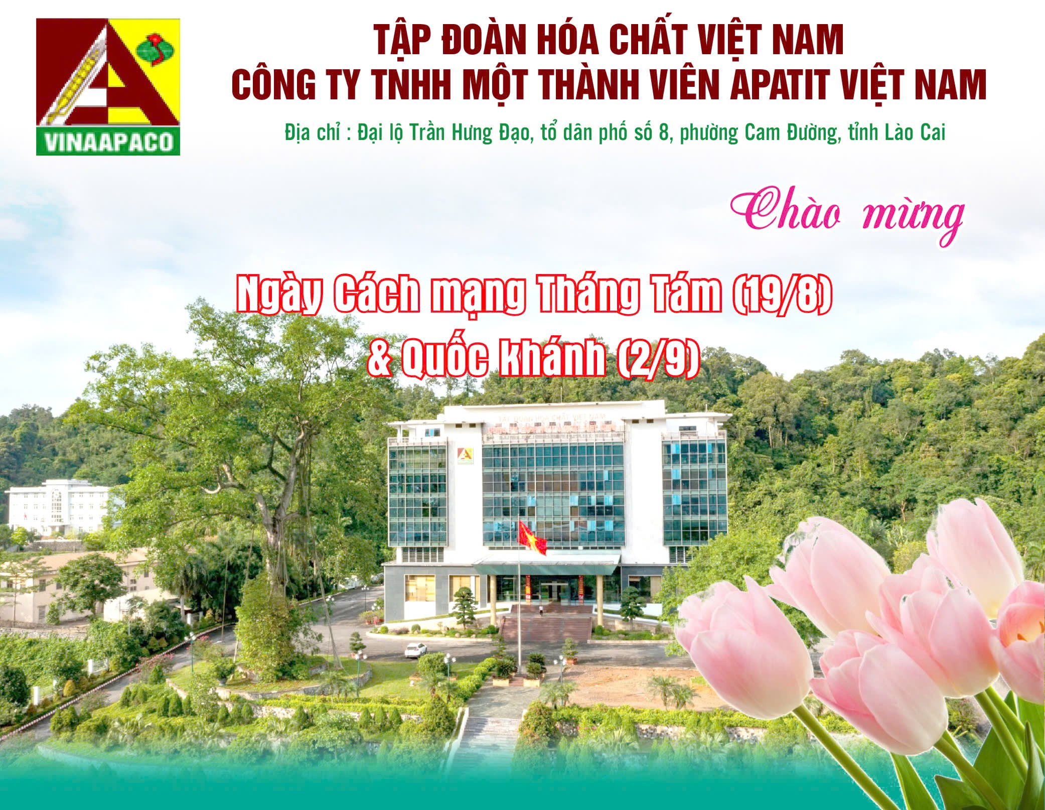 Công ty TNHH Một thành viên Apatit Việt Nam