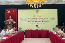 Kết quả tổng rà soát trên các lĩnh vực kiểm tra, tổ chức thi hành văn bản quy phạm pháp luật