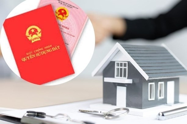 Quyền và nghĩa vụ của người gốc Việt Nam định cư ở nước ngoài sử dụng đất tại Việt Nam theo Luật Đất đai năm 2024 và kiến nghị hoàn thiện