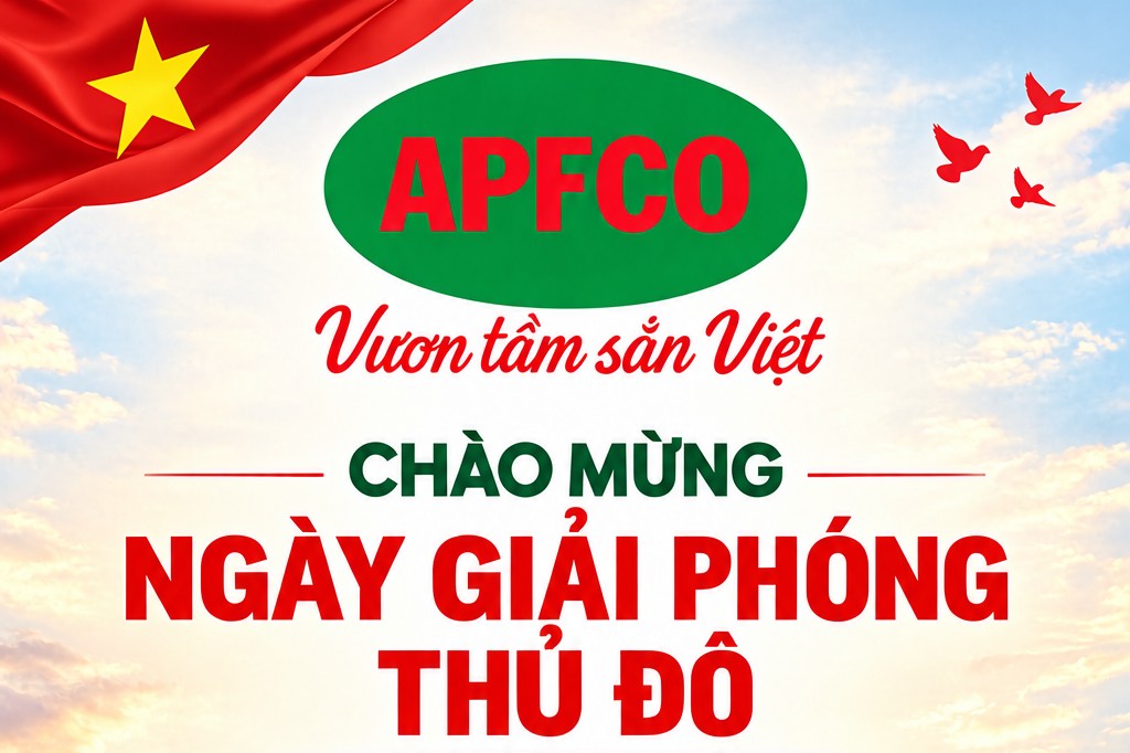 Công ty CP Nông sản thực phẩm Quảng Ngãi
