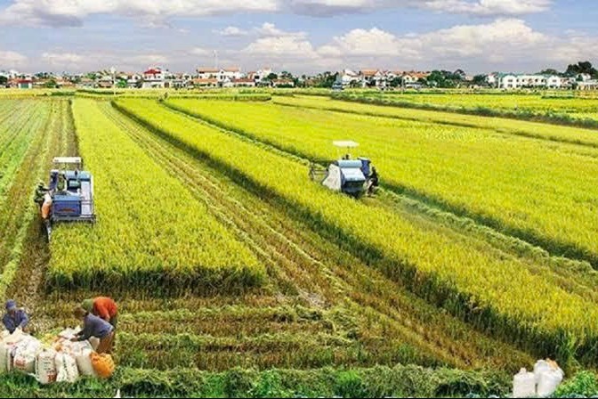 Hoàn thiện cơ chế công nhận quyền sử dụng đất có nguồn gốc nông, lâm trường trong dự thảo Luật Đất đai (sửa đổi)