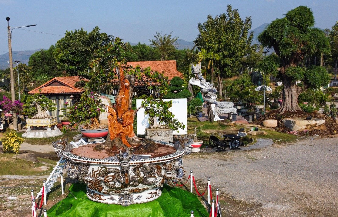 Bonsai Phúc Lộc - Nâng tầm nghệ thuật cây cảnh Việt Nam