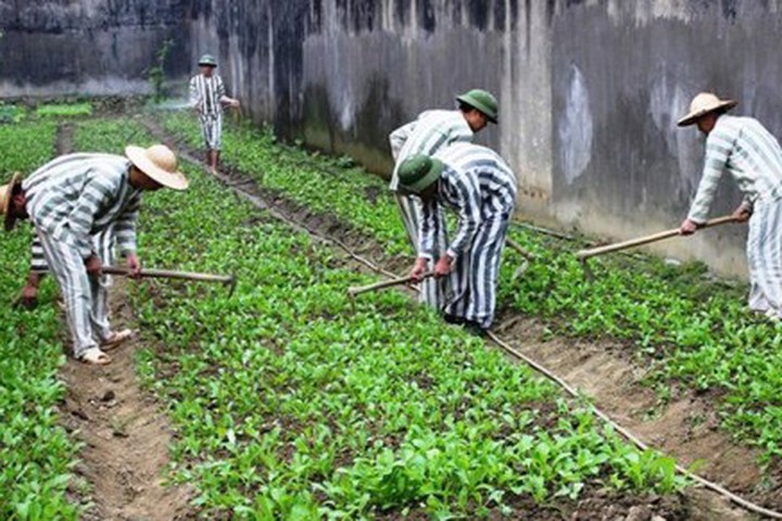 Nâng cao hiệu quả công tác xếp loại thi đua chấp hành án phạt tù đối với phạm nhân ở các cơ sở giam giữ