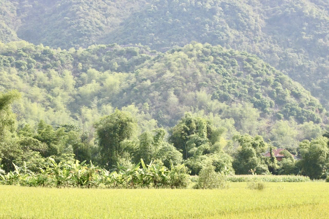 Tăng cơ hội được cấp sổ đỏ đối với đất không có giấy tờ sử dụng trước ngày 01/7/2014