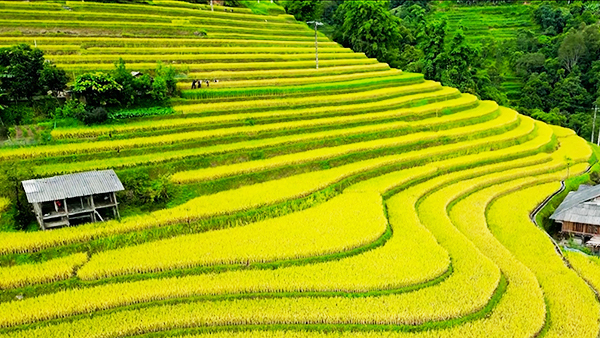 Một số điểm mới của Luật Đất đai năm 2024 và việc xây dựng, hoàn thiện văn bản dưới luật, nâng cao hiệu quả tổ chức thi hành luật *