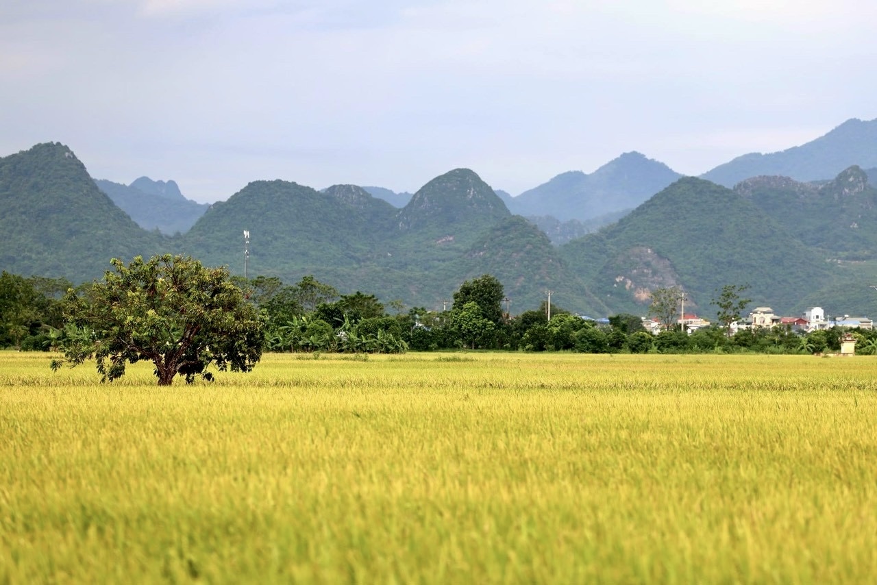 Triển khai thi hành trách nhiệm của Nhà nước về đất đai đối với đồng bào dân tộc thiểu số theo Luật Đất đai năm 2024