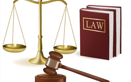 Đa dạng hóa các loại hình, sản phẩm truyền thông, báo chí hiệu quả trong truyền thông dự thảo chính sách của Thông tấn xã Việt Nam