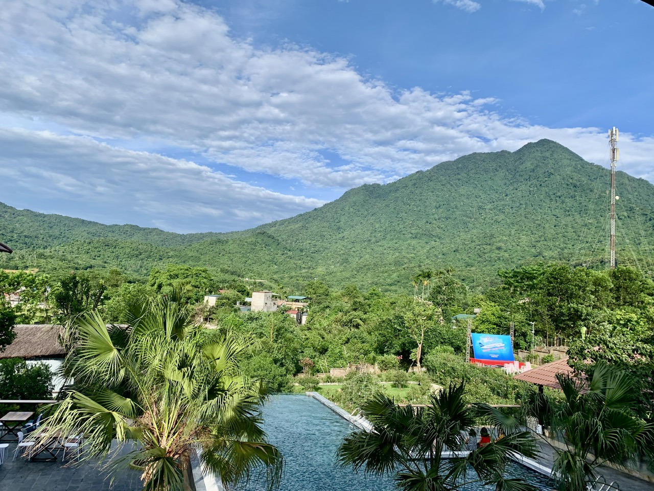 Được gia hạn nộp thuế giá trị gia tăng, thuế thu nhập doanh nghiệp, thuế thu nhập cá nhân và tiền thuê đất