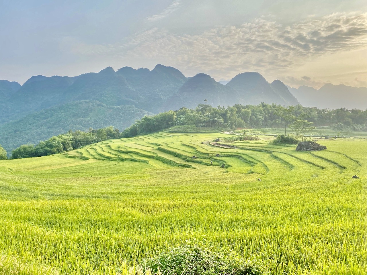 Thực hiện truyền thông chính sách, dự thảo văn bản quy phạm pháp luật từ thời điểm lấy ý kiến đối tượng chịu sự tác động trực tiếp